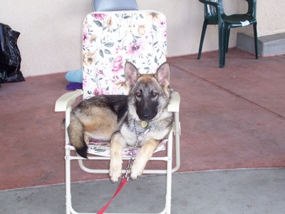 Silke in Chair